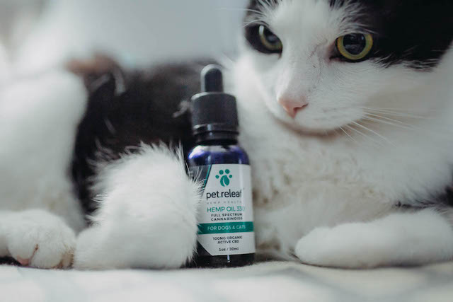 CBD Pet Drops