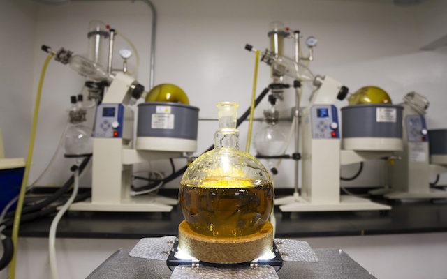 Extracting CBD with Ethanol, Grain Alcohol CBD Extraction