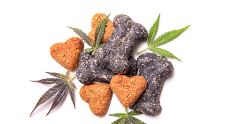 Best CBD Dog Biscuits