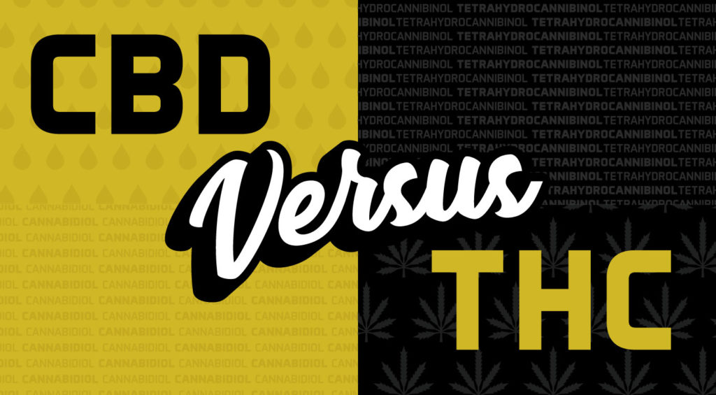 CBD vs. THC