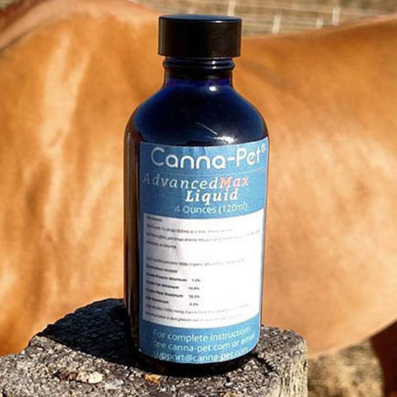 CannaPet Advanced Max CBD for Horses