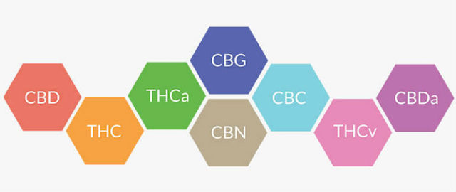 What are Cannabinoids?