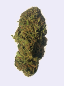 cbd oil indiana drug test