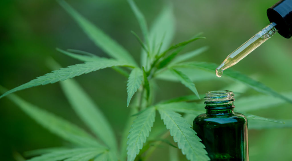 Why Is CBD Put Into Oil?