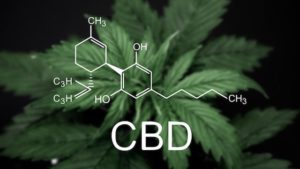 CBD Flower Products