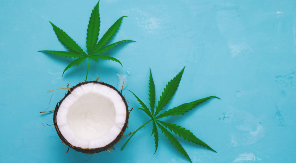 Best CBD Coconut Oils