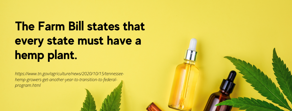 CBD Tennessee fact 1