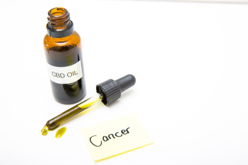 cbd oil for cancer