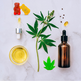 What Forms Can I Get CBD Products In - Image